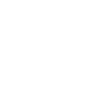 closeicon